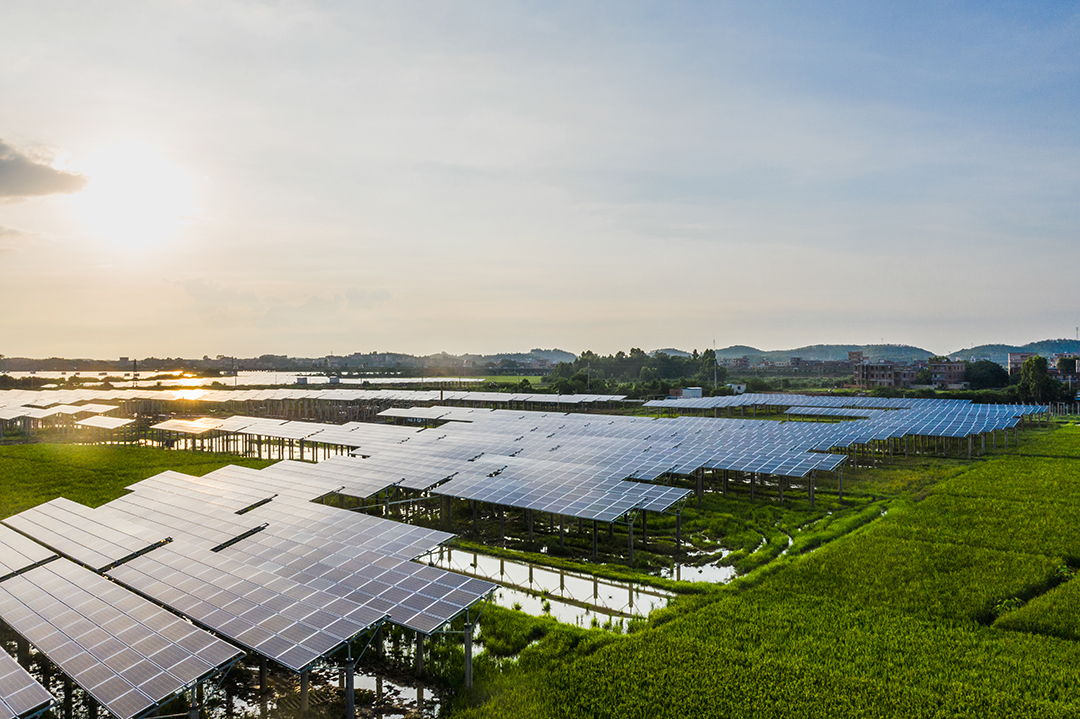 Energia Solar Lucrativa