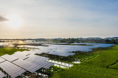 Solar power plants and rice fields at dusk